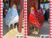 4ft chickens